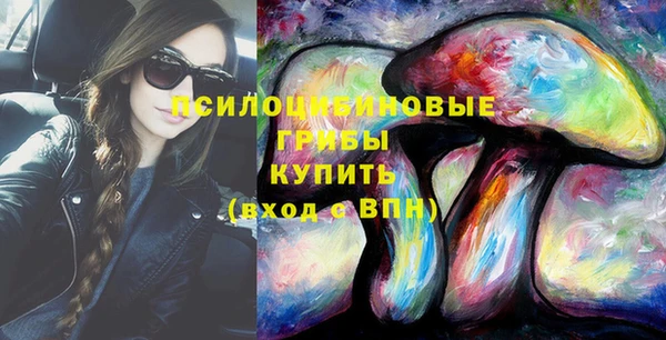 стафф Протвино
