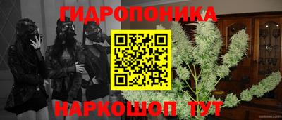 стаф Свободный
