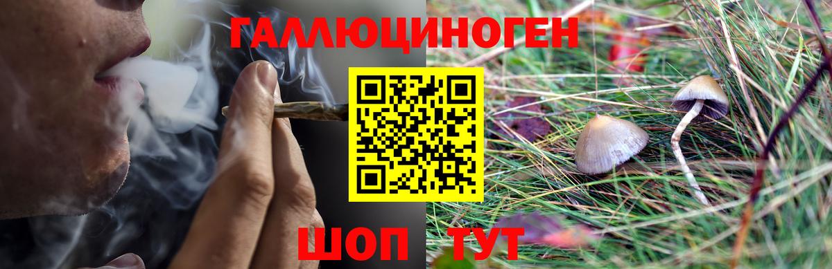 Краснокамск  купить закладку  Вход с VPN  Псилоцибиновые грибы Psilocybine cubensis 